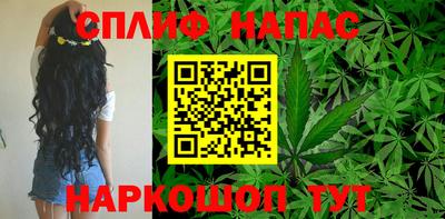 PSILOCYBIN Кингисепп