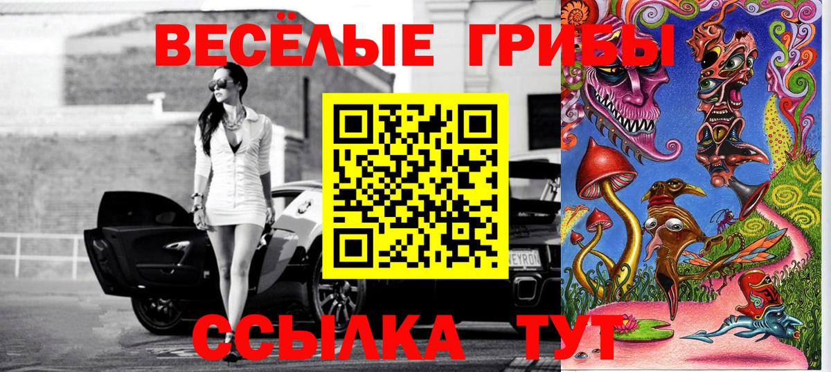 наркотики  Вход с VPN  Курган  Галлюциногенные грибы Psilocybine cubensis 