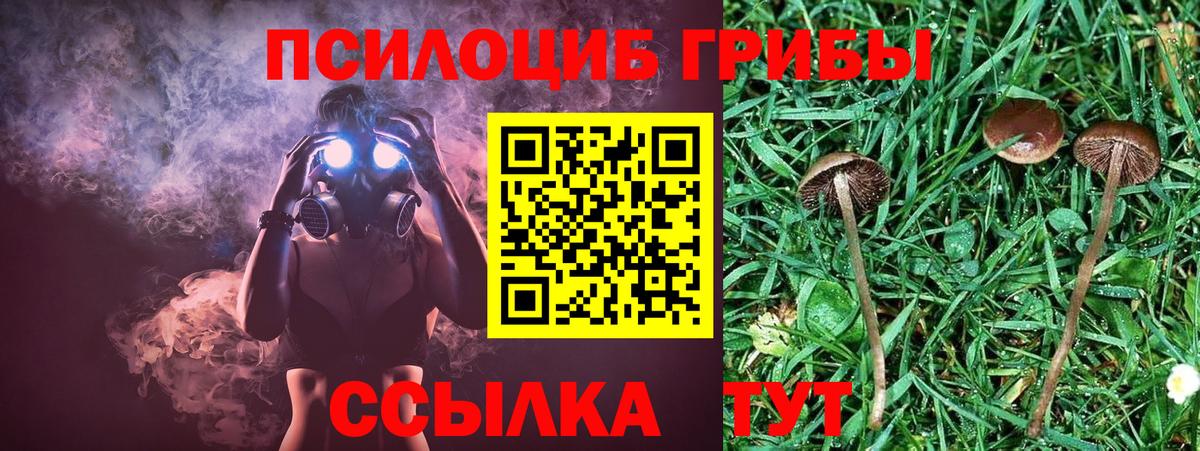 Галлюциногенные грибы GOLDEN TEACHER Курган